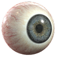 Eye Icon Softease
